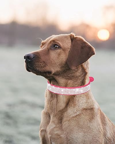 Miniatura 6 de Petank Collar de perro para perros pequeños, medianos y grandes, collar de perro pequeño para hembras, collar de perro rosa, collares de cachorros