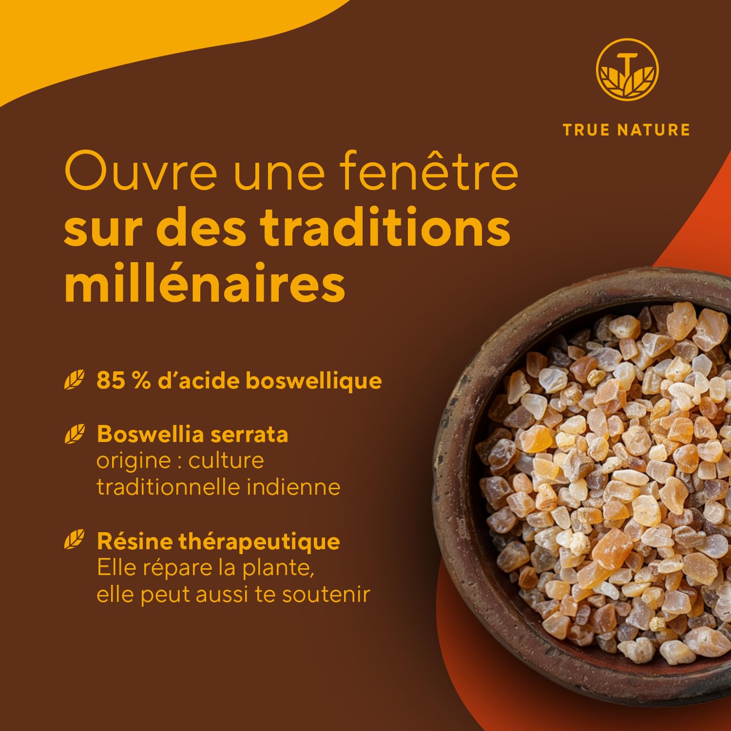 Boswellia Serrata | 2.000mg - 240 Gélules - 85% d'Acide Boswellique - Bien-être, Articulation - Encens Indien - Ayurveda, Vegan - Sans: Additifs, Lactose & Gluten - TRUE NATURE