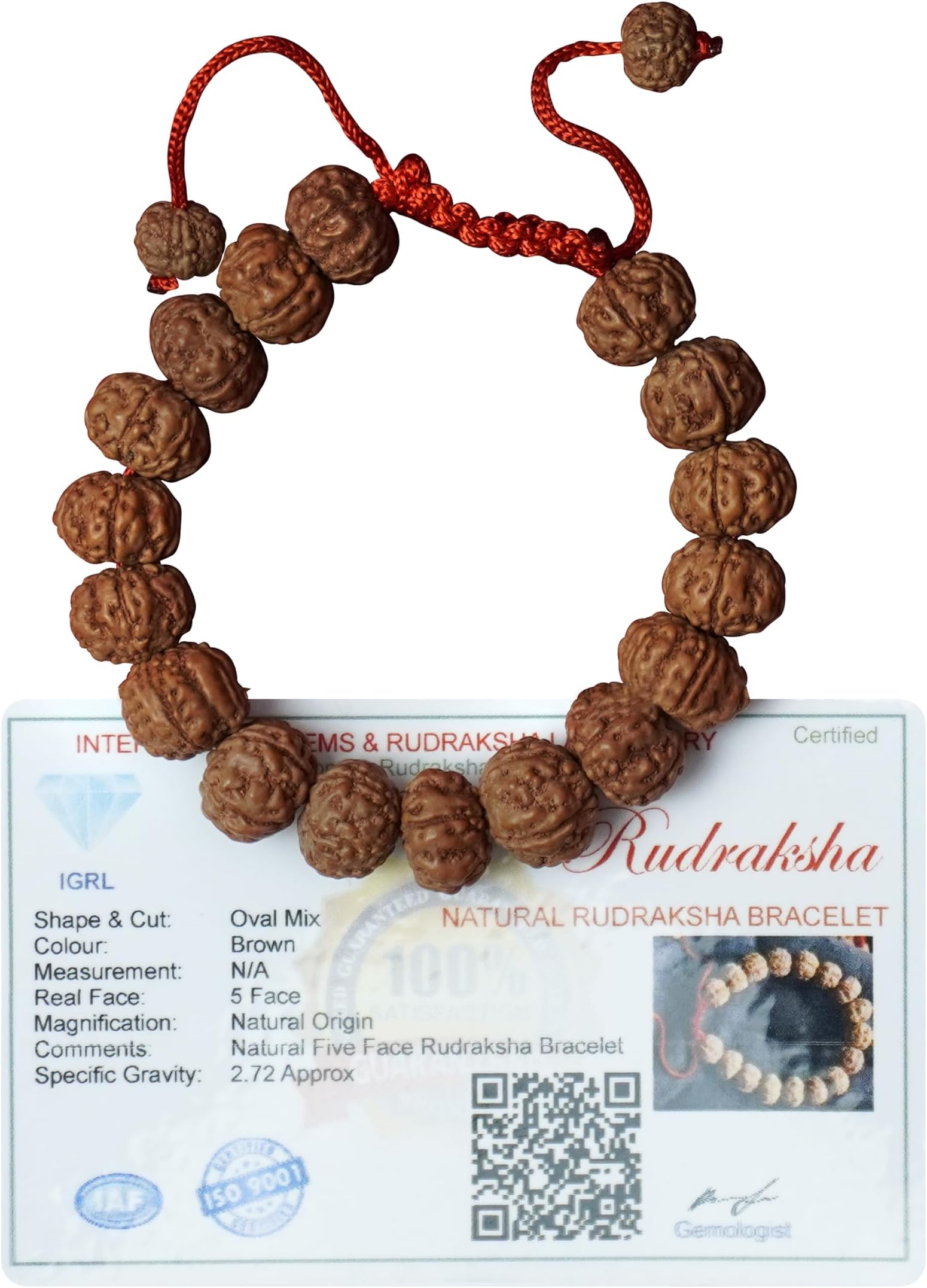 REMEDYWALA Original 5 Mukhi(Panchmukhi) Rudraksha Bracelet With Certificate | AAA Grade Unisex both for Men and Women, free, Rudraksha