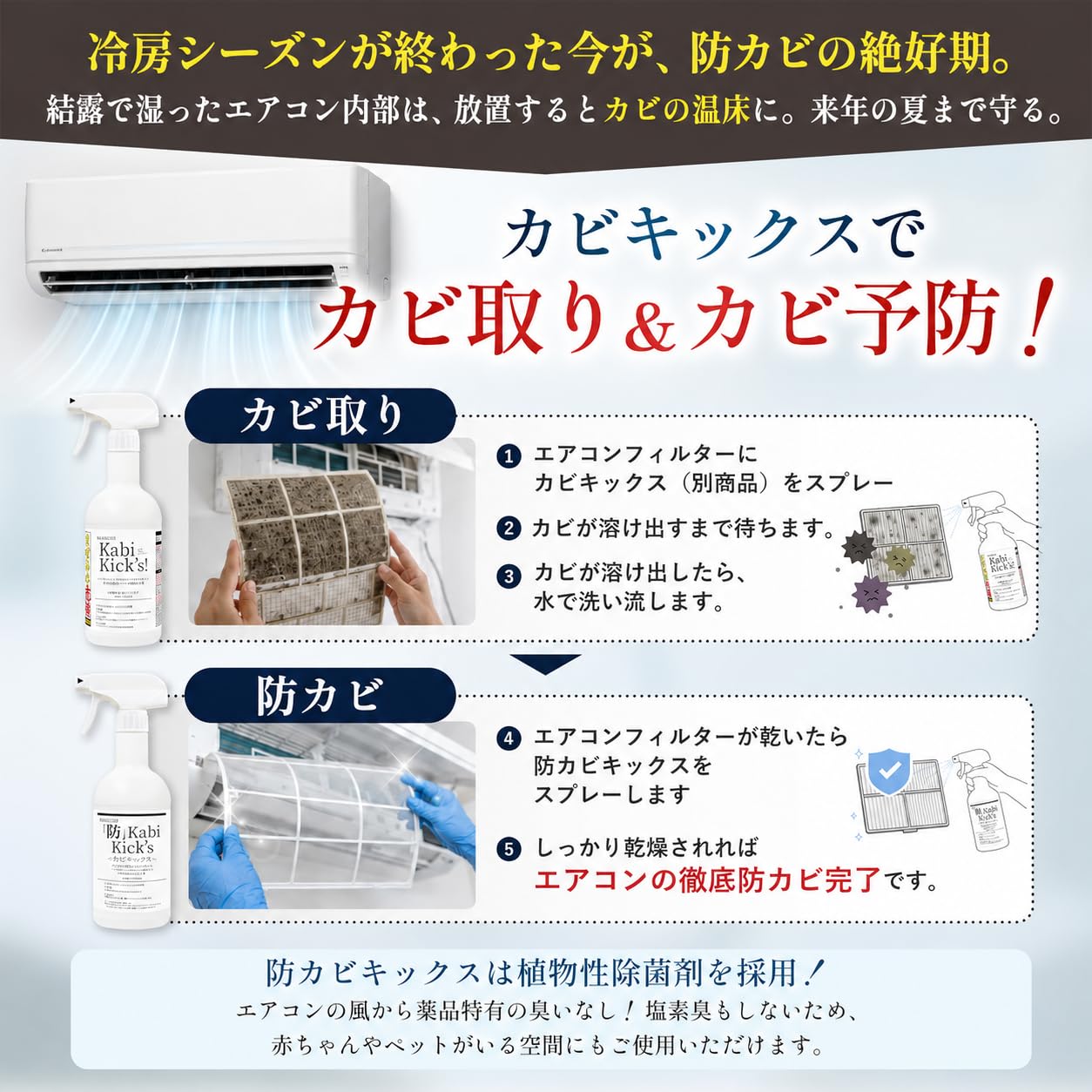 Amazon.co.jp: 【現場20年のプロ愛用】防カビ 防カビ剤 カビ防止