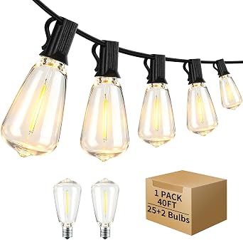 40 ft 25 Warm White ST38 LED Outdoor String Lights, Plug-in Patio Light