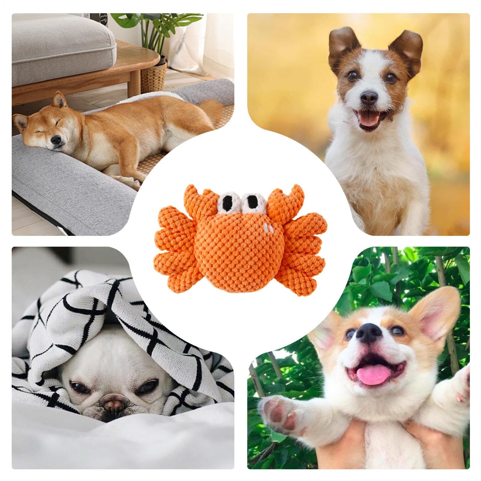 Generico Giocattoli Squeak per Cani Giochi da Masticare per Cuccioli e Cani | Giocattoli adatti a Cani che Mordono Aggressivamente Per Compleanno Natale Halloween di Riporto e Lancio