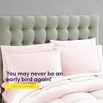 Down Alternative Comforter All Season Warmth Luxurious Plush Loft Microfiber Fill Duvet Insert Bedding, Full, Pale Pink