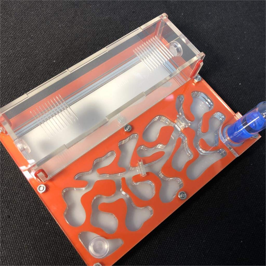 Ant Grape Formicarium Educativo para Granja de Hormigas para Tubo de ensayo de Hormigas Vivo Humedad Gran Espacio Nido de Hormigas de acrílico, Hormigas Insectos (Naranja) - 2