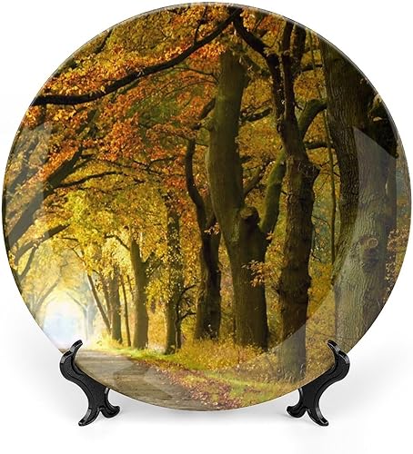 Plato decorativo de cerámica de 6 pulgadas con soporte de otoño Forest Avenue redondo para el hogar, platos de cena para decoración de pared del