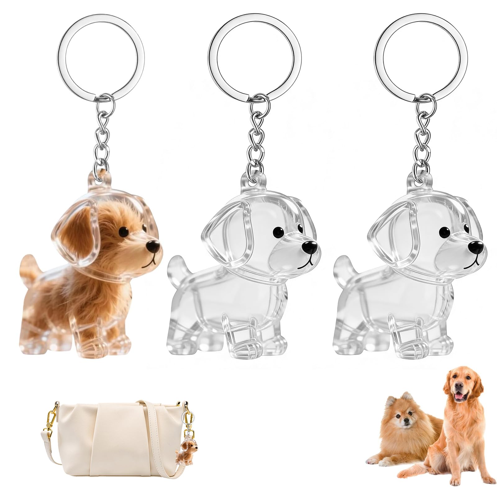3 Portachiavi Capsule Trasparenti per Peli di Cani – Ricordo Commemorativo DIY, Ciondolo per Conservare Peli o Baffi del Cane, Portachiavi Memoriale per Amanti degli Animali