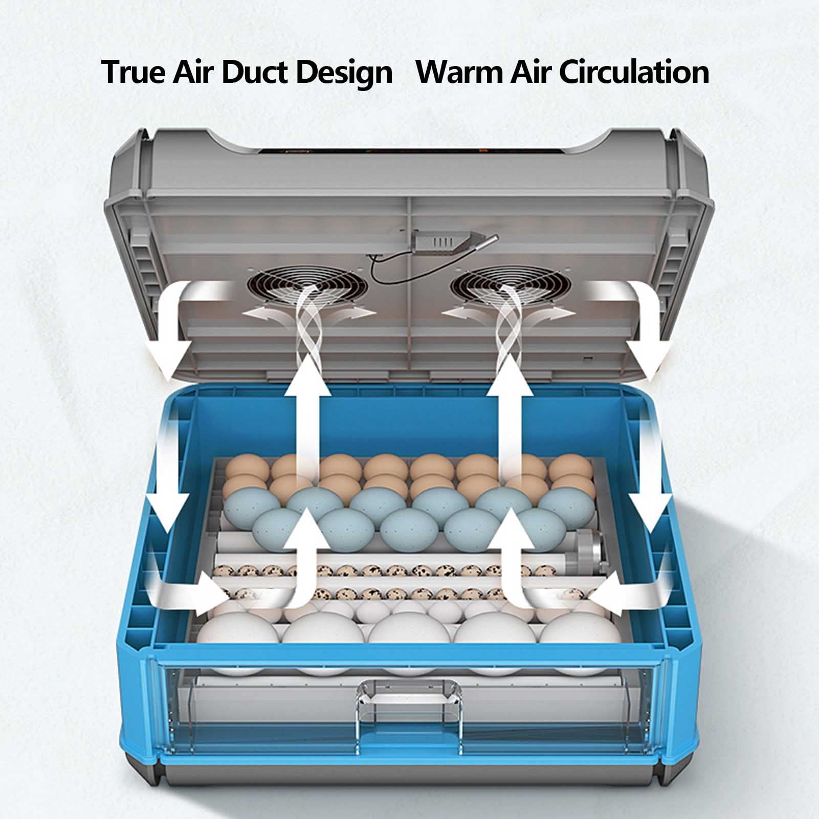Generic Incubadora de huevos totalmente automática, control de temperatura y volteador de huevos, ideal para incubar pollos, pájaros, patos, codornices, equipo de criadero fácil de usar y eficiente