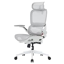 SIHOO B100 Pro Sedia Rete Ergonomica da Ufficio, Sedia da Scrivania con Supporto Lombare 4D, Sedia da Scrivania per Computer con Poggiatesta 3D, Braccioli Pieghevoli 4D, Reclinazione 90-135°, Bianca