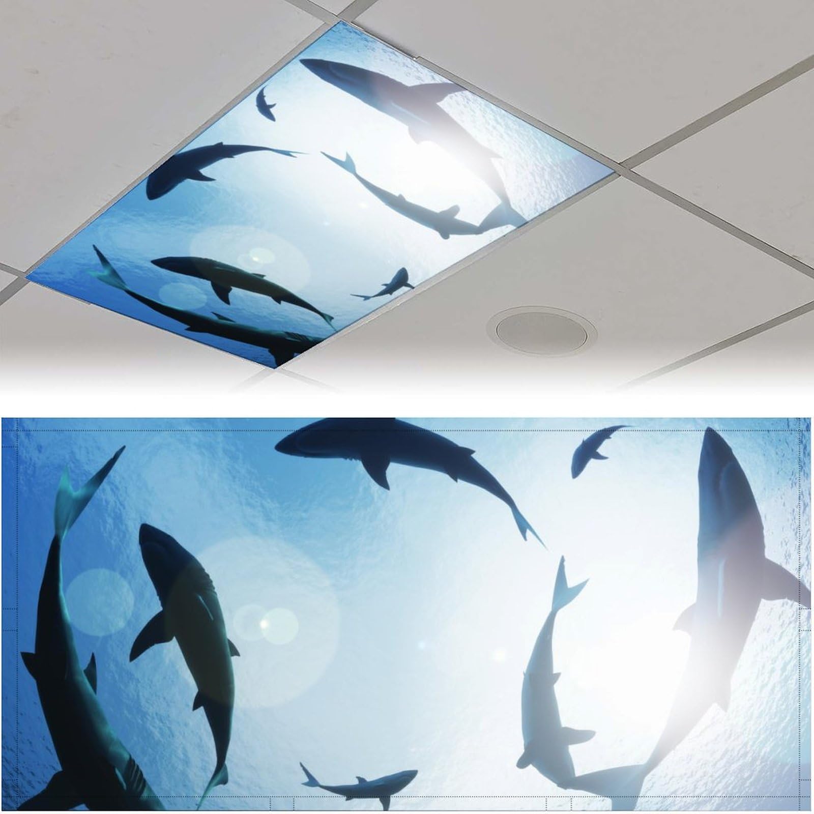 Couverture de lumière fluorescente magnétique pour créer une classe ou un bureau apaisant