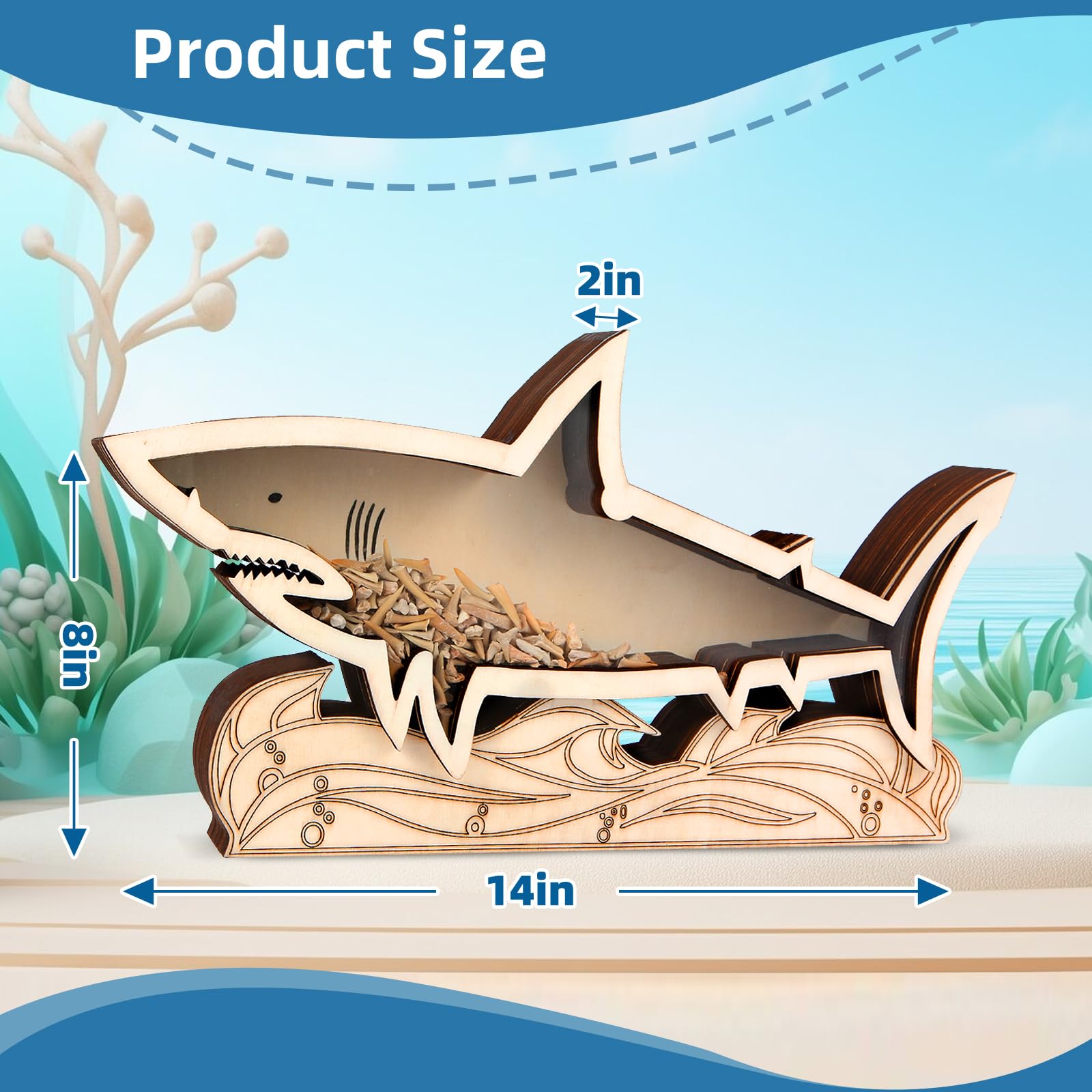 Shark Tooth Display Case 14 Inch Wooden – Large Shark Tooth Holder for Collectors, Shark Teeth Holder Case for Shark Tooth Display and Storage – Solid Wood Shark Tooth Collection Case