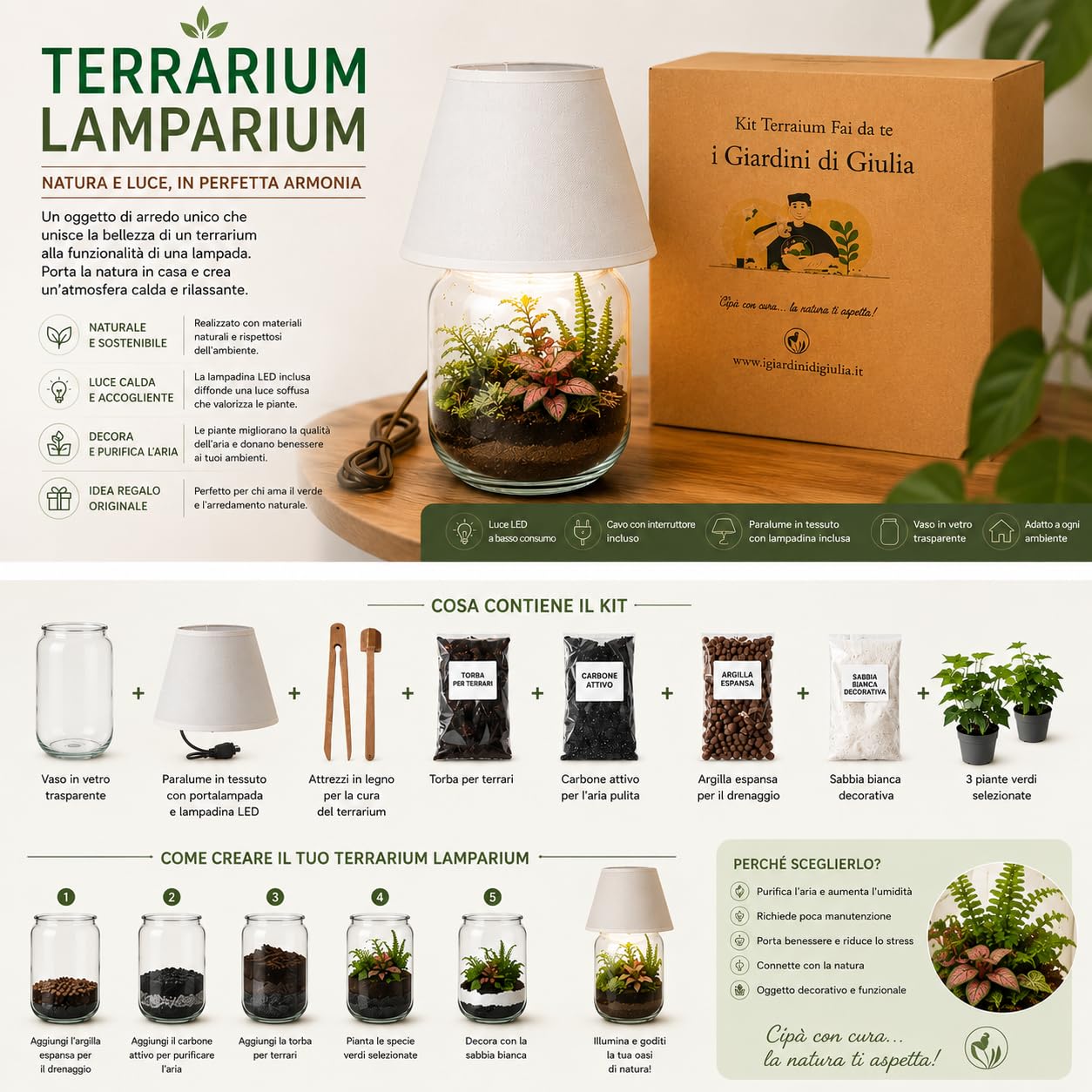 I Giardini di Giulia | Kit Terrarium Lamparium Piccolo e Piante Verdi | Vaso in Vetro Ø22 cm con Paralume Incluso | Include Substrati, Accessori e Terrario Fai-da-Te