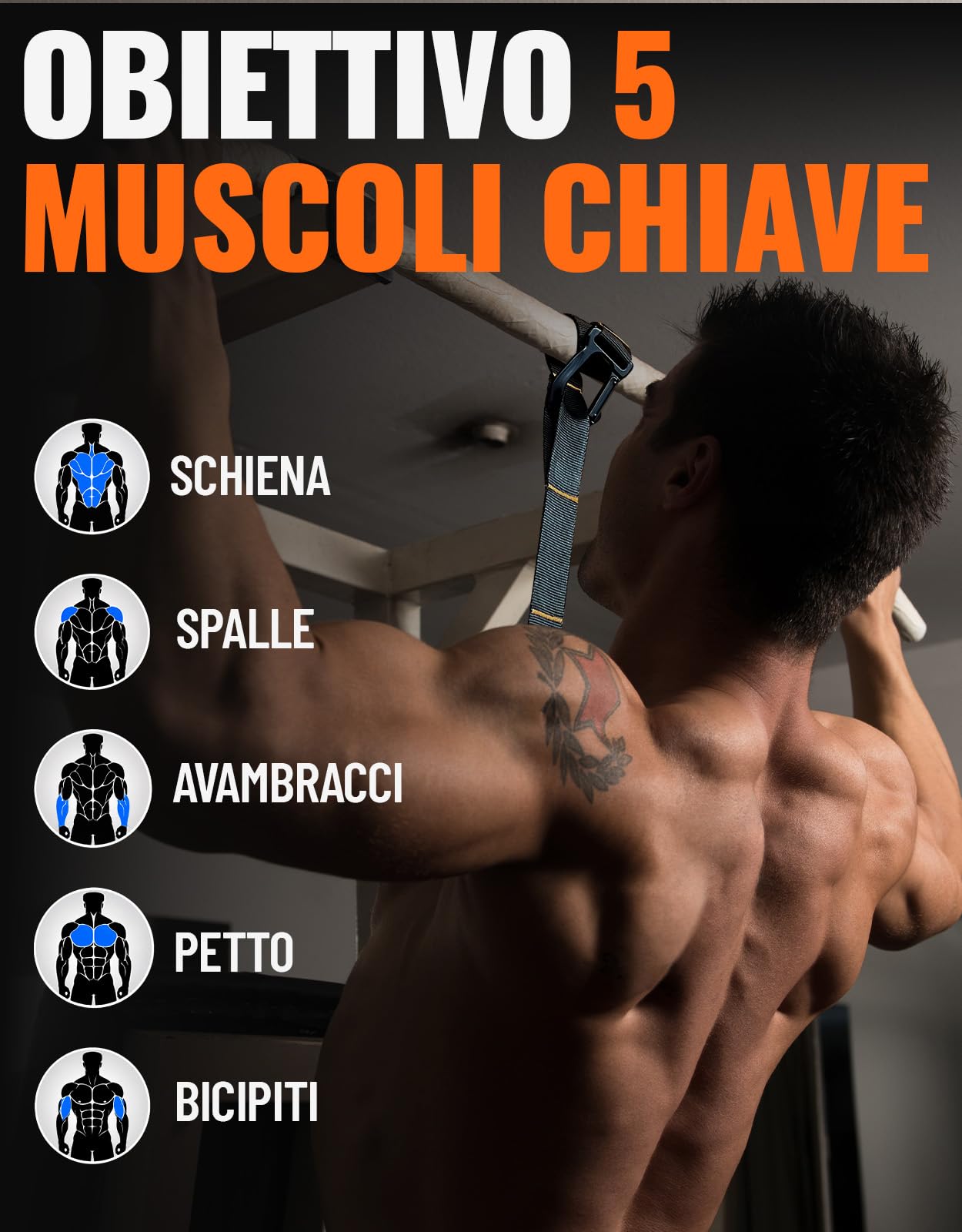 Set di fasce di assistenza per trazioni Fitarc, cinghia di assistenza per trazioni con maniglia, 14 livelli di assistenza fino a 136 kg