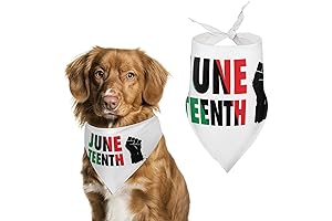 Celebrate Juneteenth with Style: Happy Juneteenth Day Dog Bandana