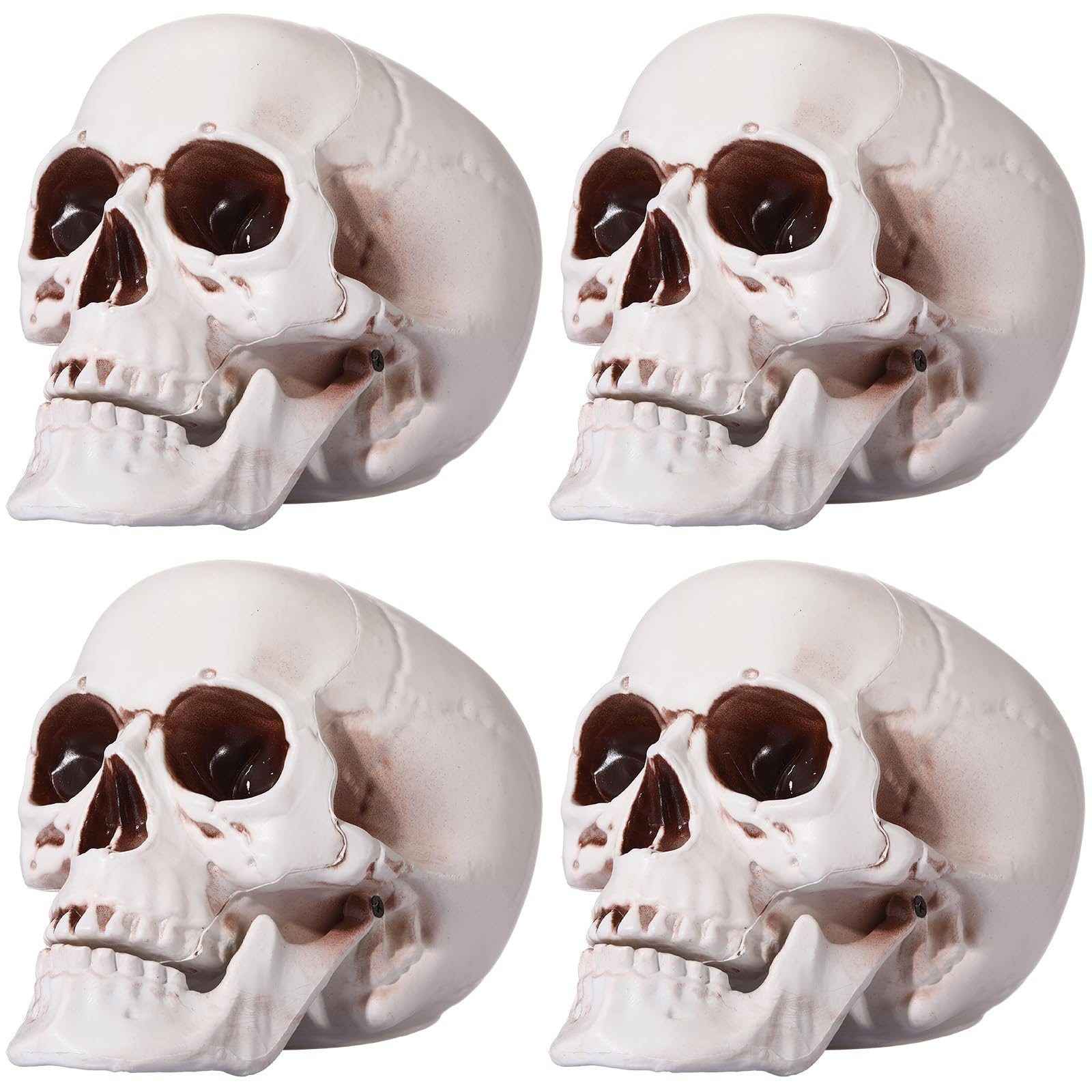 Sratte 4 Pcs Halloween Human Skull Model Adult Plastic Skull Decor Fake Head Decorations Realistic Head Bone Model Human Skeleton Statue (8 Inch)