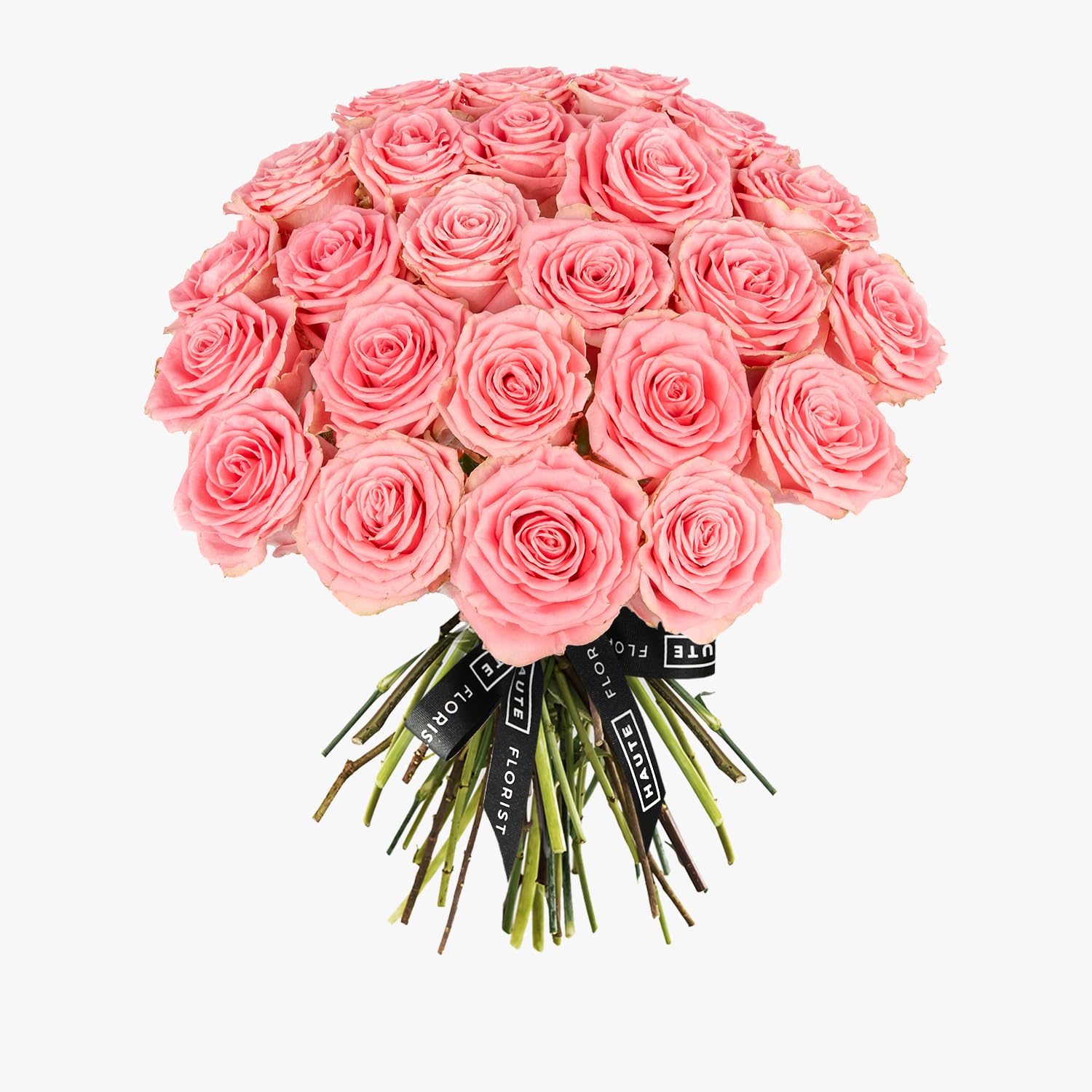24 roses roses Sophia Loren de luxe - Fleurs coupées fraîches à longues tiges de qualité supérieure, grand bouquet de roses pour les occasions romantiques, les anniversaires et les occasions spéciales