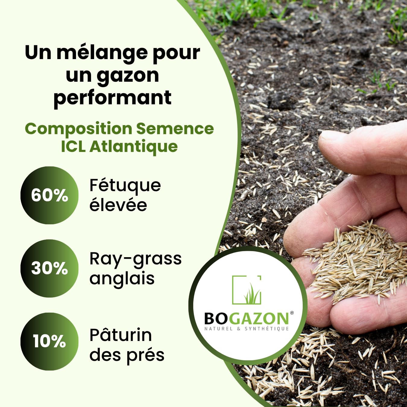 Gazon a semer ICL Atlantique 10 kg | Graines de Gazon Agrément Résistant Sécheresse & Rouille | Semence avec Système Racinaire Profond
