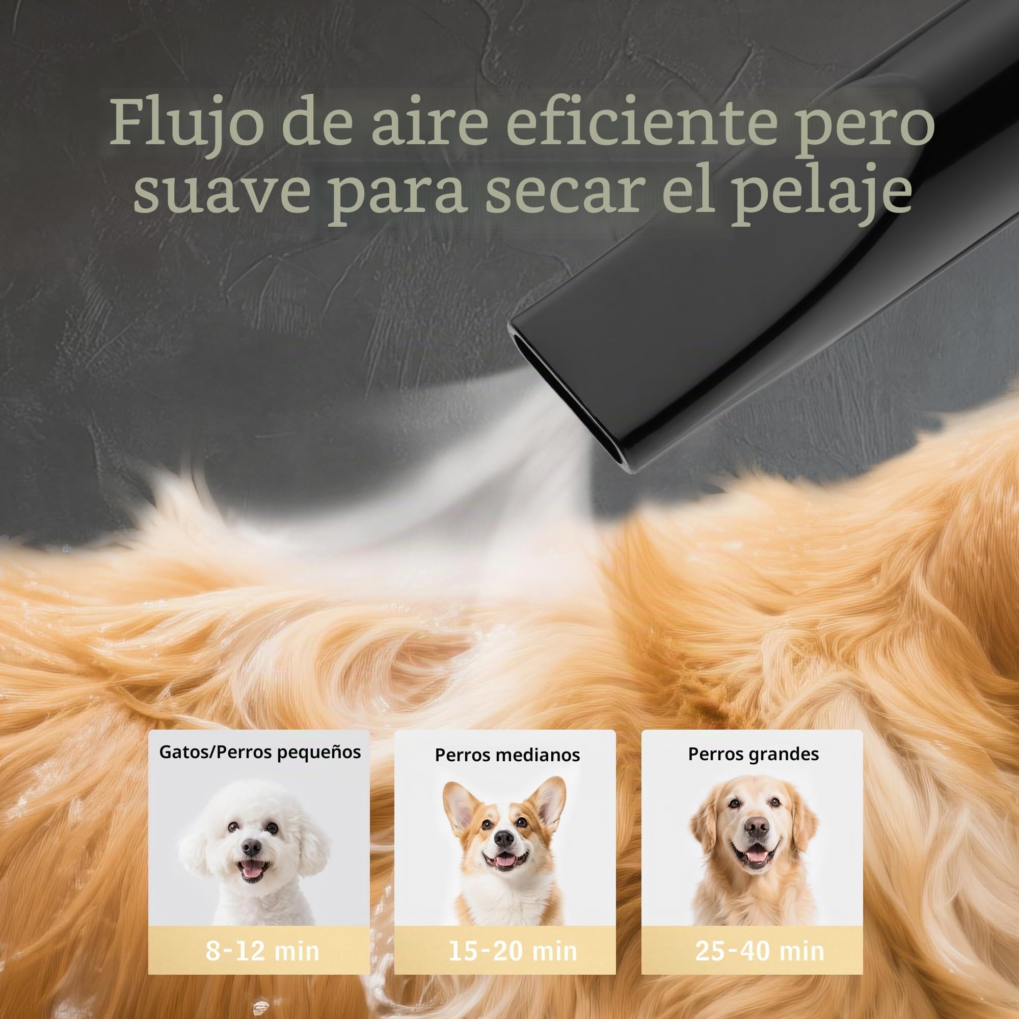 DEWINNER Blower Secador de Pelo Perros 3200W Pulsómetro para Perros con Aspirador Animales Velocidad y Temperatura Ajustable con 5 Boquillas Diferentes 1 Tubo Elástico y