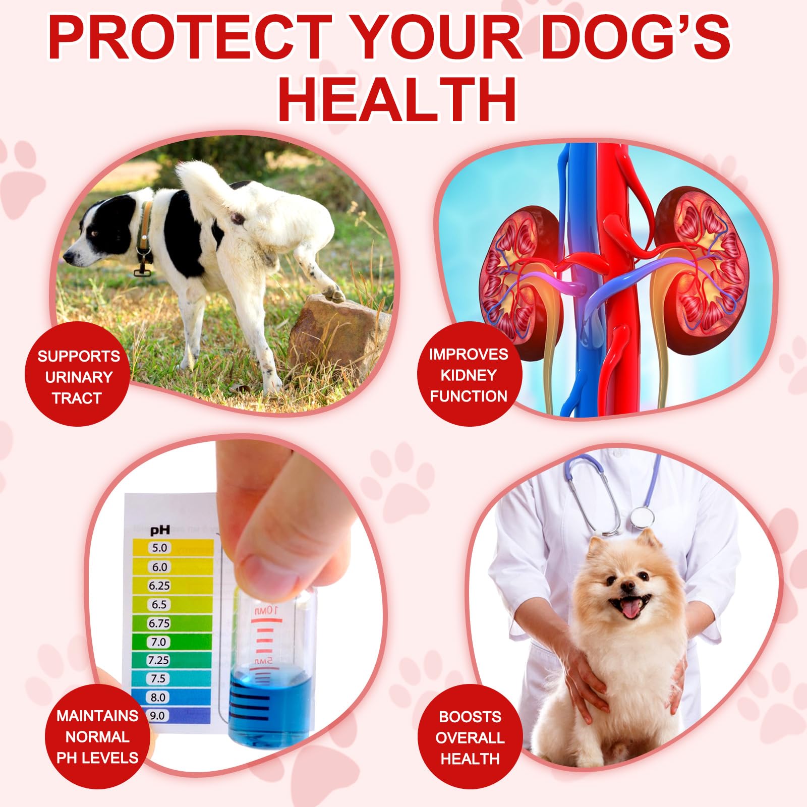 Cranberry Supplement for Dogs - UTI, Bladder Health & Incontinence — Amazon image 3