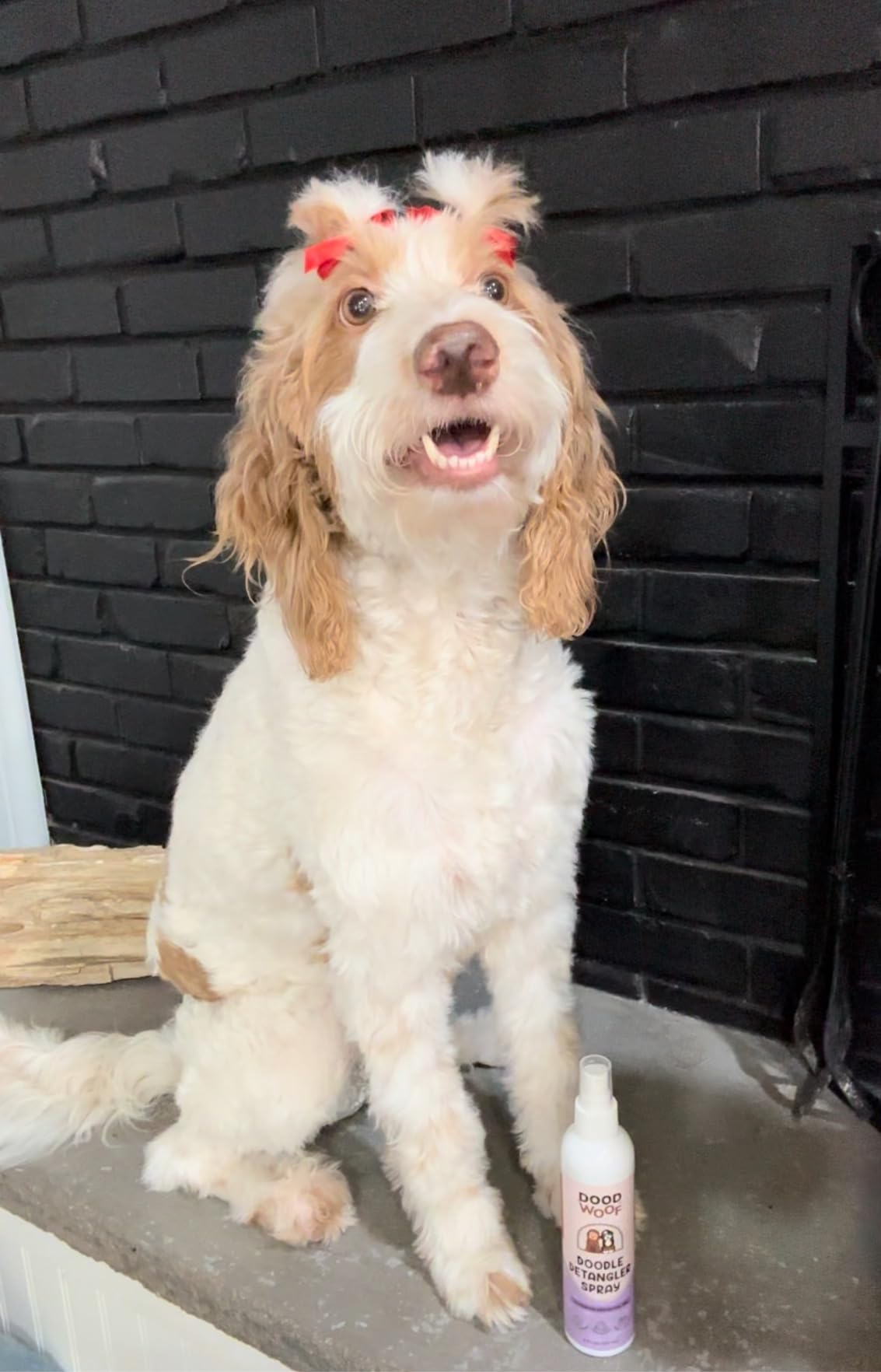 Doodle Detangler Spray