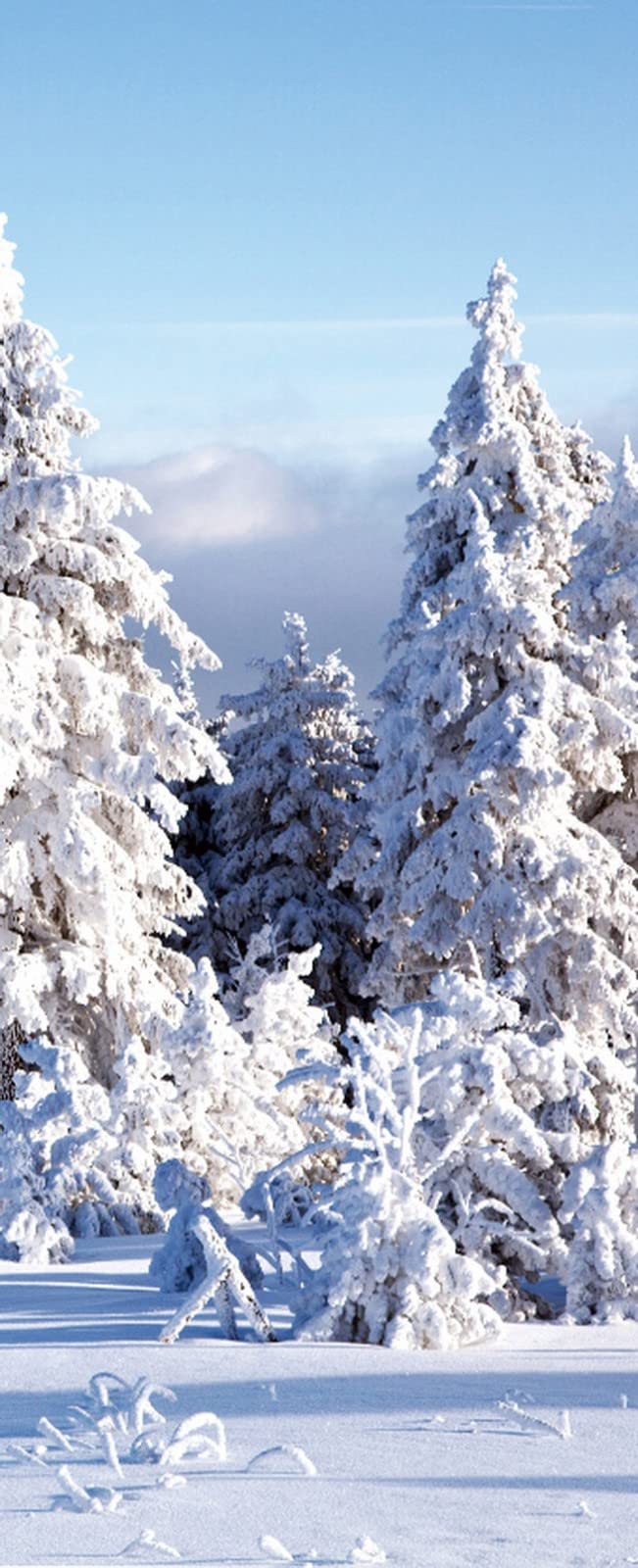 A.Monamour 3D Türtapete Winterwald - Selbstklebende Türfolie 90x200 Cm