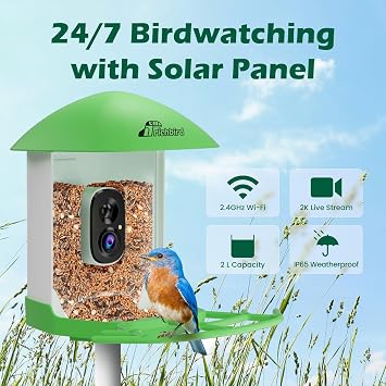 Smart Bird Feeder with Camera, Green