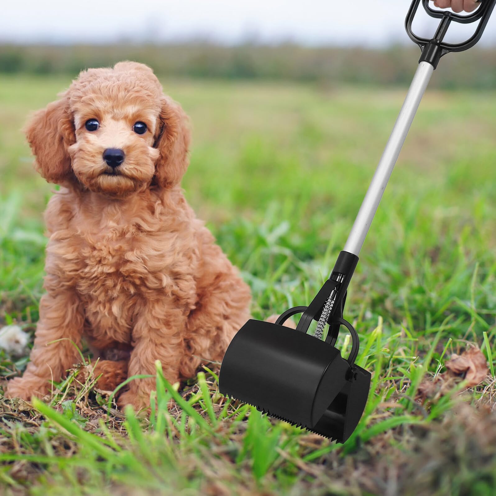 DOITOOL Ramasse-déjections pour Animaux en Plastique Léger Grosse Ouverture, Outil Pratique pour Chien en Extérieur, Accessoire de Nettoyage Couleur Aléatoire