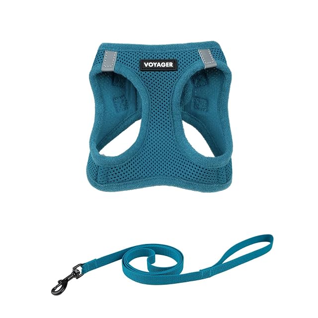 Best Pet Supplies Voyager Step-in Air