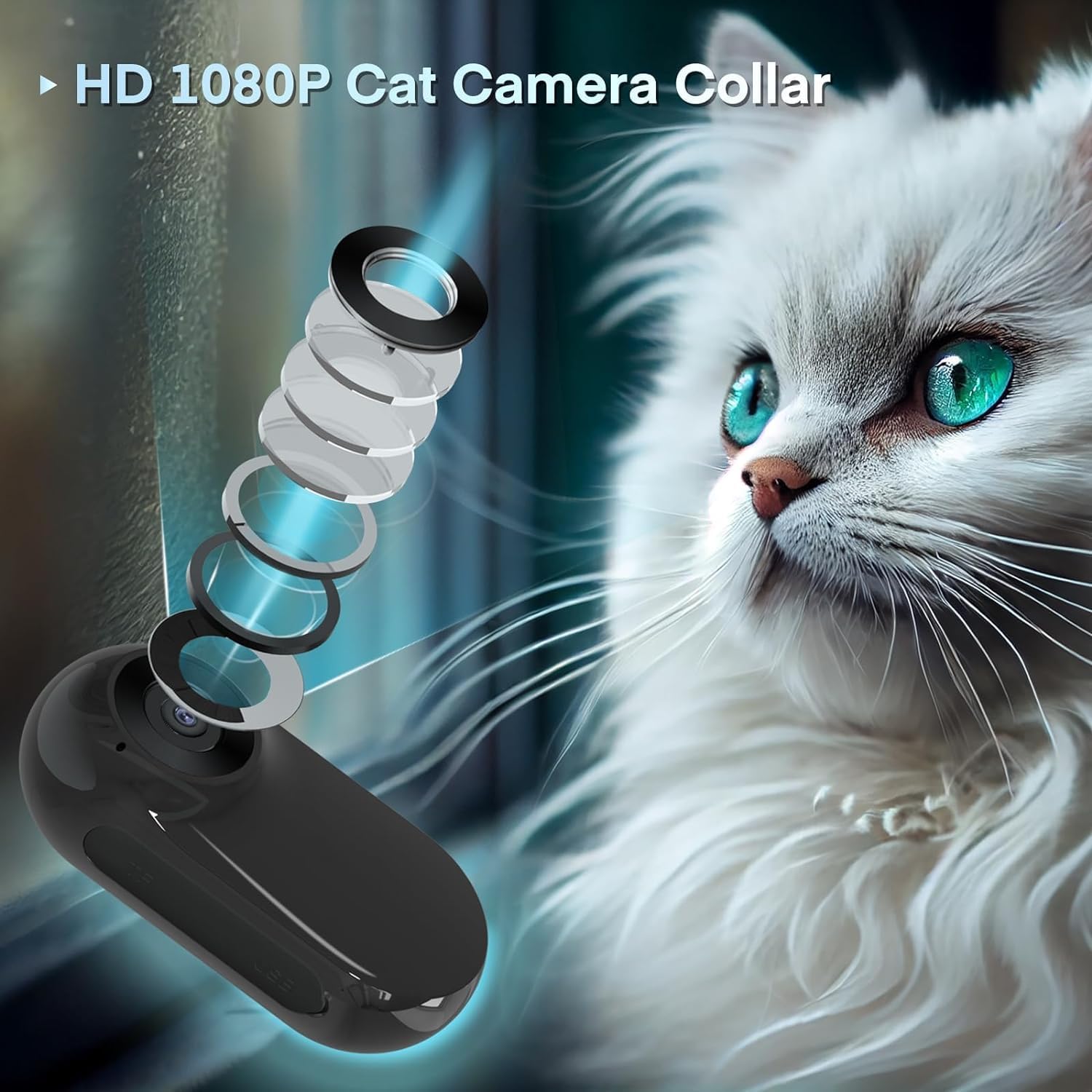 Collier caméra vidéo pour chat 64 Go HD 1080p rotation 360° Noir