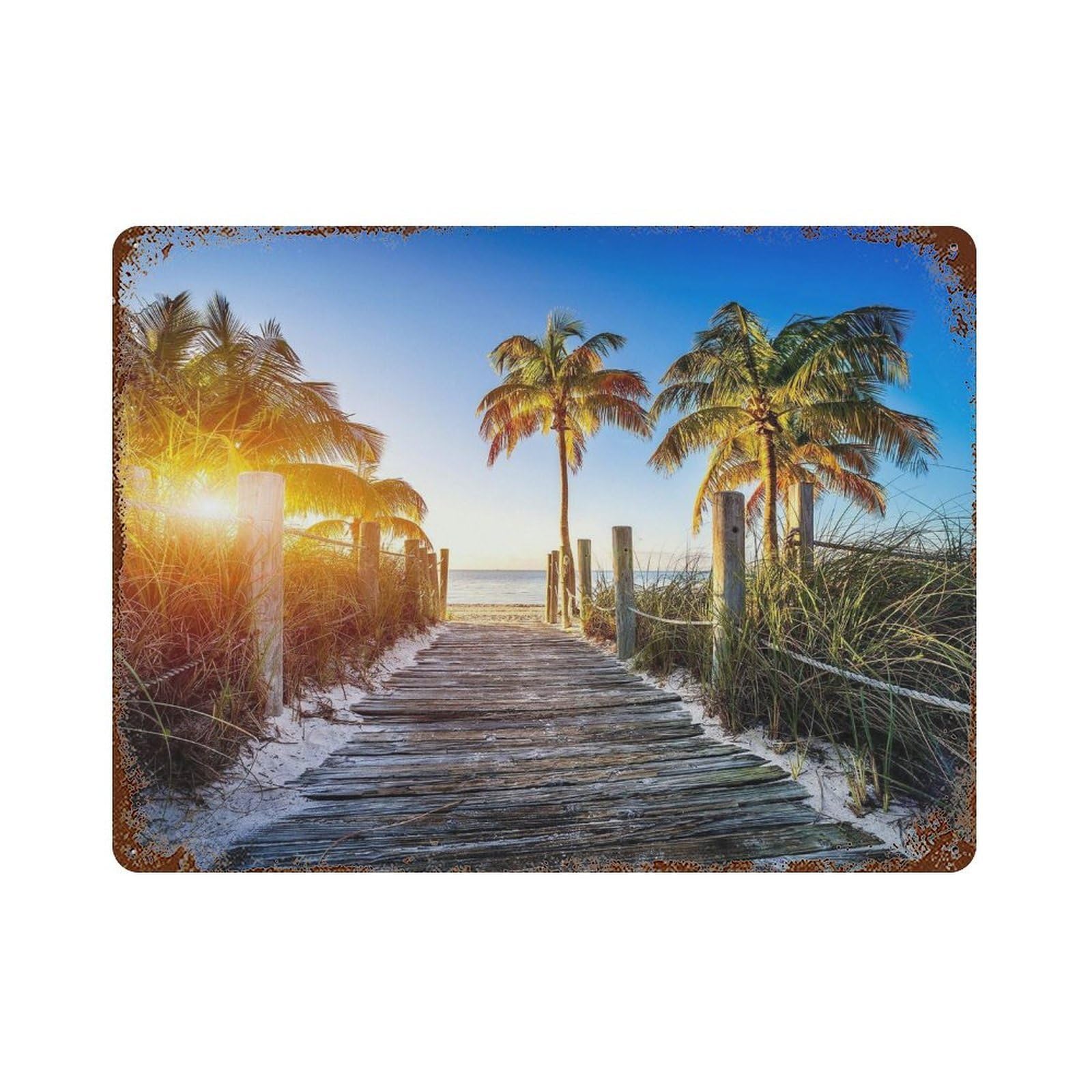 xiaoxiaoshen Real Photo Florida Decor USA (2) Wall Decor Art Metal Tin Poster Modern Home Decor Art Home Bar Shop Decorations Vintage Sign 30x40cm