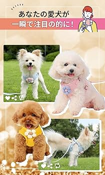 Amazon | CLOGRATIA チワワ ハーネス パピー用ハーネス リード