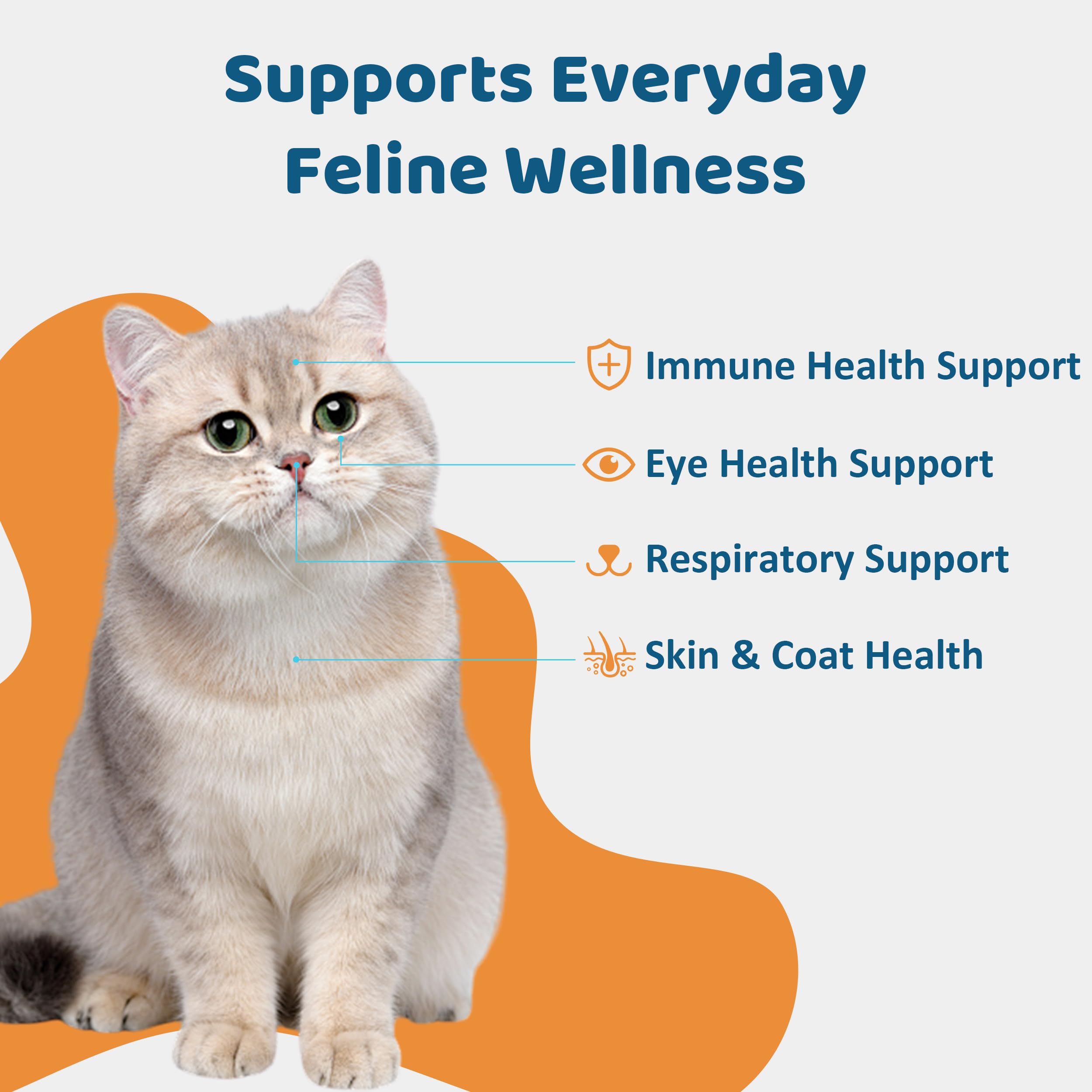 L-Lysine for Cats Oral Paste – Immune & Respiratory Support for Felines – with Collagen, Zinc, Multivitamins & Probiotics – Natural Chicken Flavor, 4.23 oz (Orange, 1 Pack) — Amazon image 2
