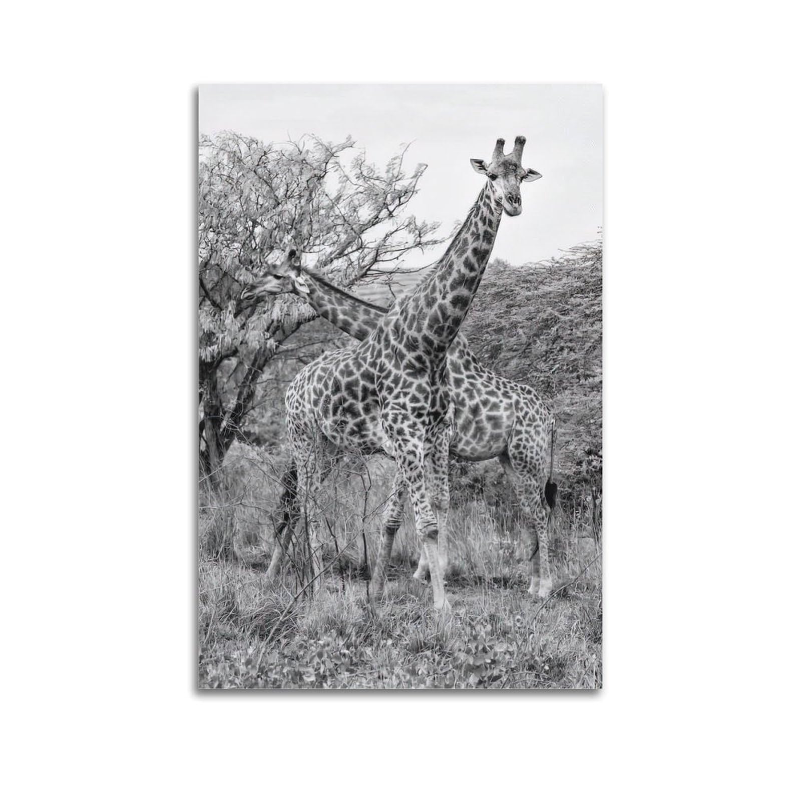 MJZLQN Animal Poster Giraffe Mother And Young Poster Decorative Painting Canvas Wall Posters And Art Picture Print Modern Family Bedroom Decor Posters 20x30inch(50x75cm)