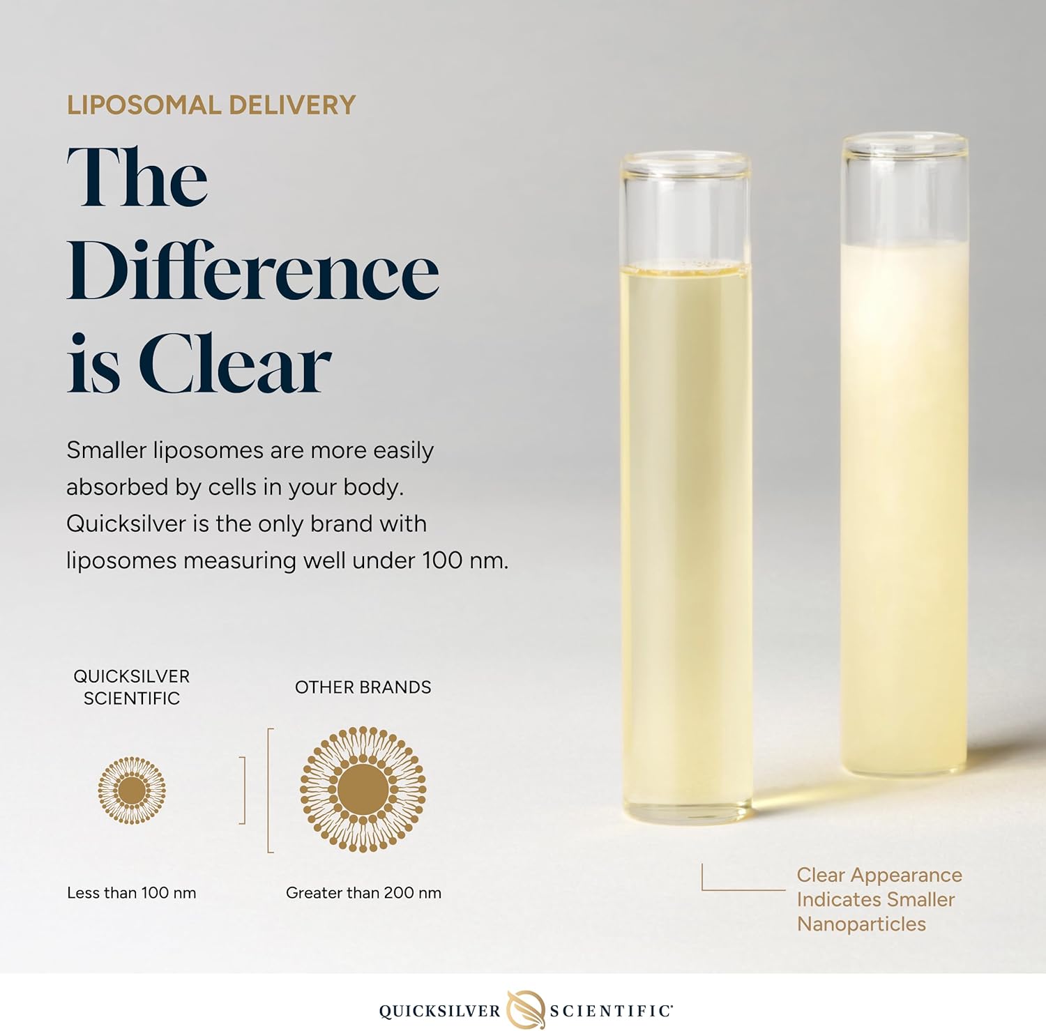 Quicksilver Scientific Nanoemulsified DIM - Liposomal DIM Supplement to Support Healthy Hormone Balance for Women & Men - Soy-Free Detox & Immune Support (1.7oz / 50ml) - Image 5