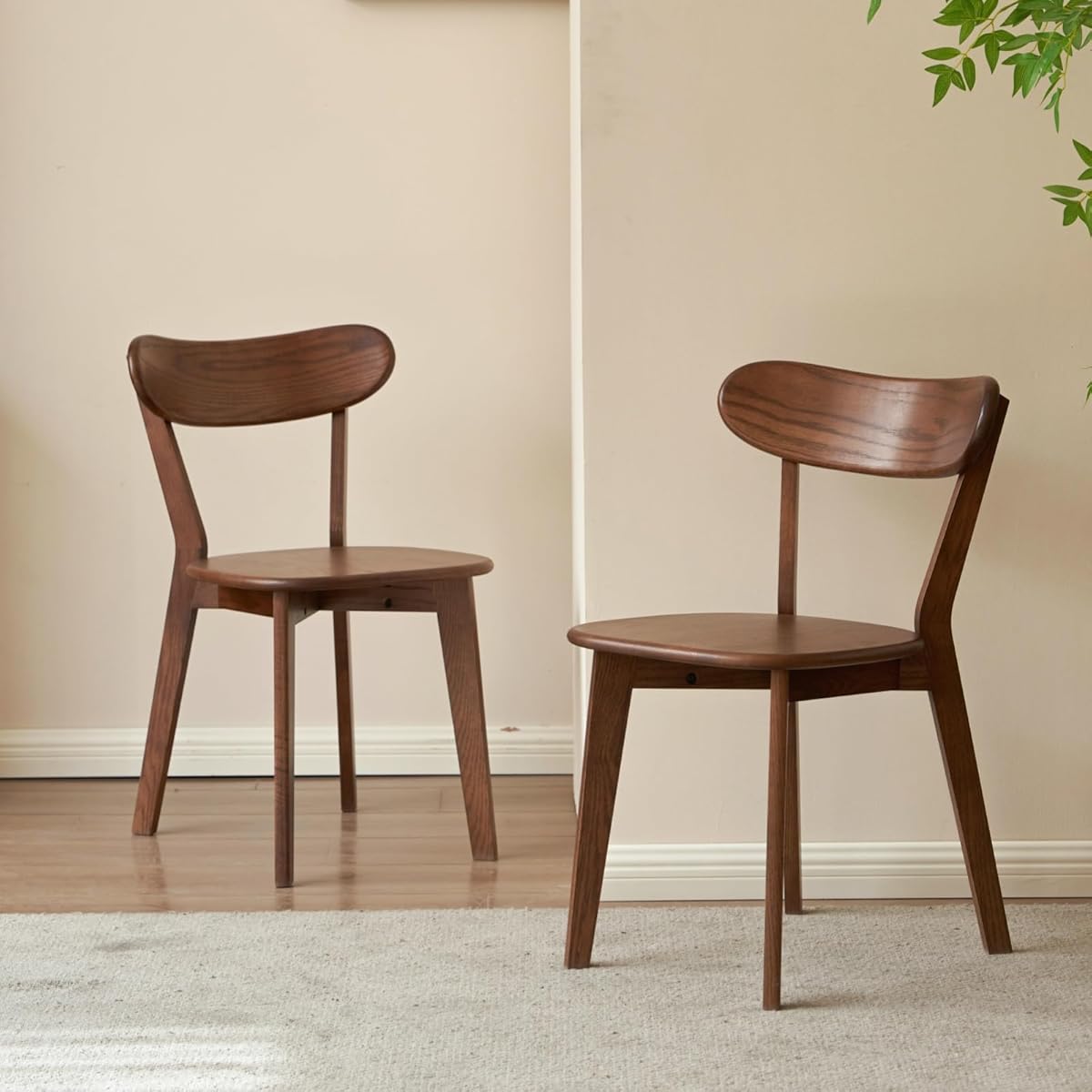 Oak Dining Chairs, Kitchen Chairs, 100% Solid Wood Modern Dinner Chair with Curved Backrest, Dining Room Chair for Kitchen, Living Room, Study (2PK, Walnut)