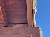 Review Image by Tony D