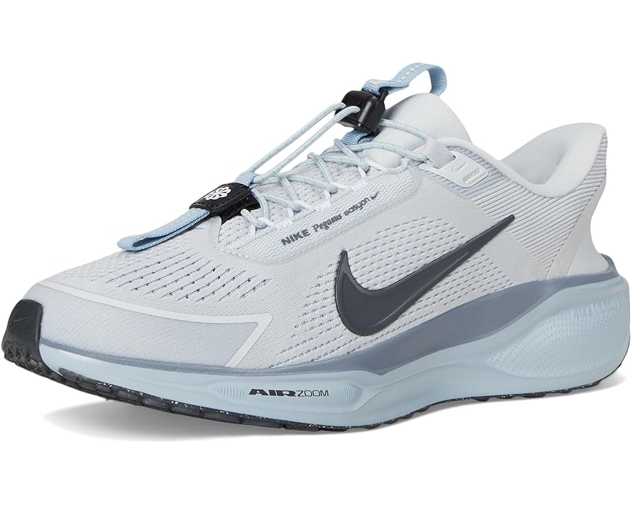 Nike Pegasus Easy On - Front View