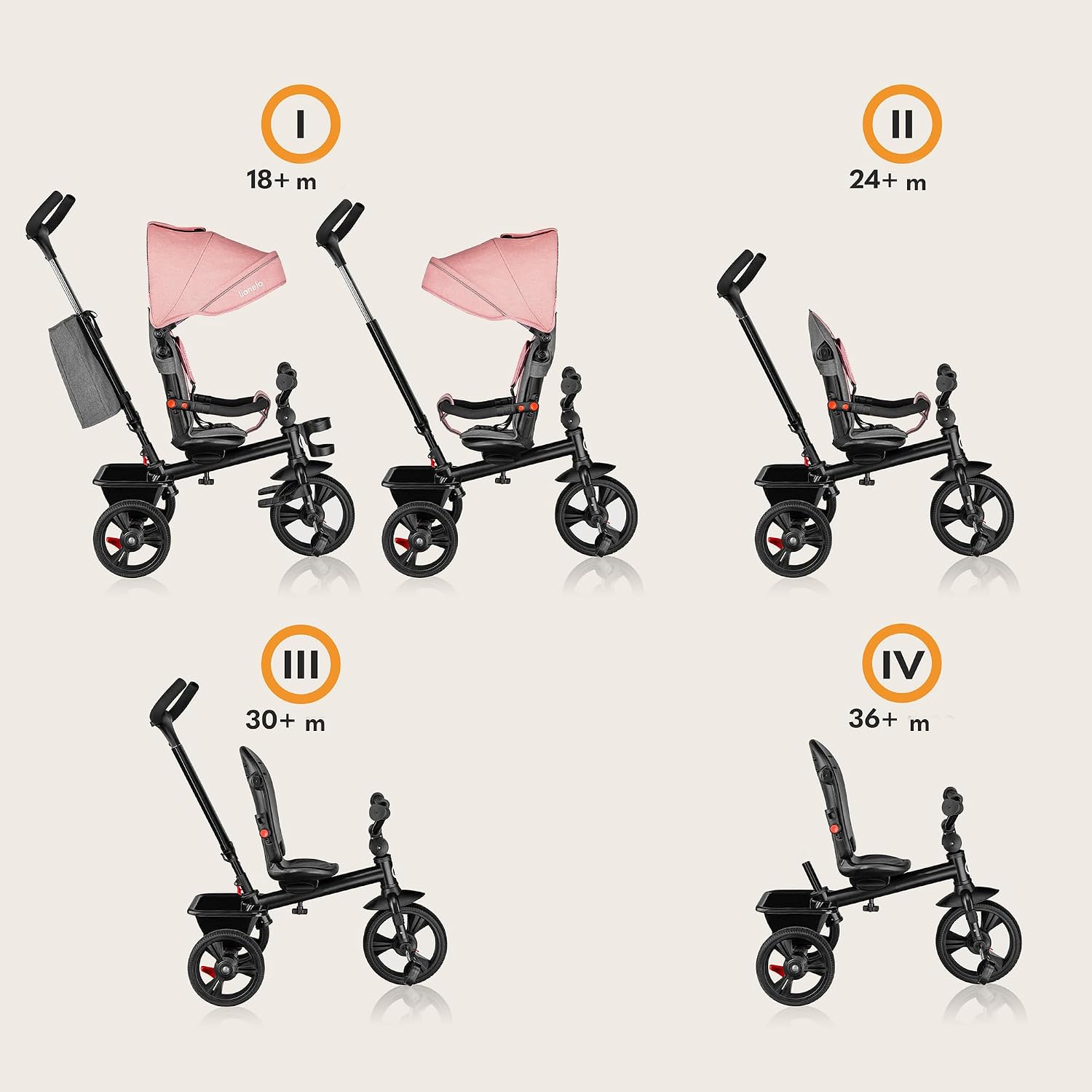 Lionelo Haari tricycle bébé 2 en 1 vue générale