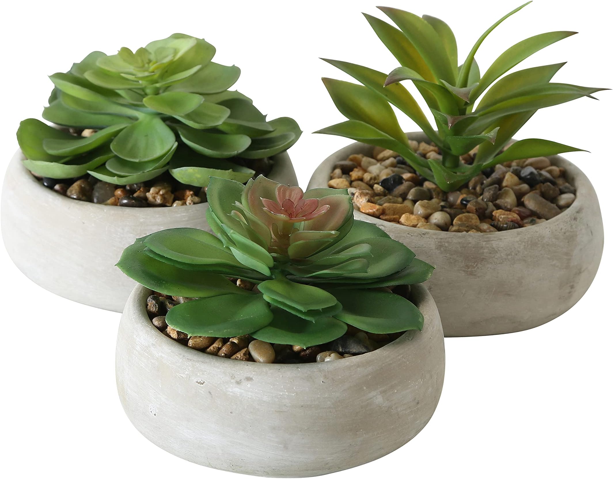 3 Piece Realistic Faux Succulent Set, Brushed Cement Pot, Pebble Surface 5 D x 4.75 H Inches