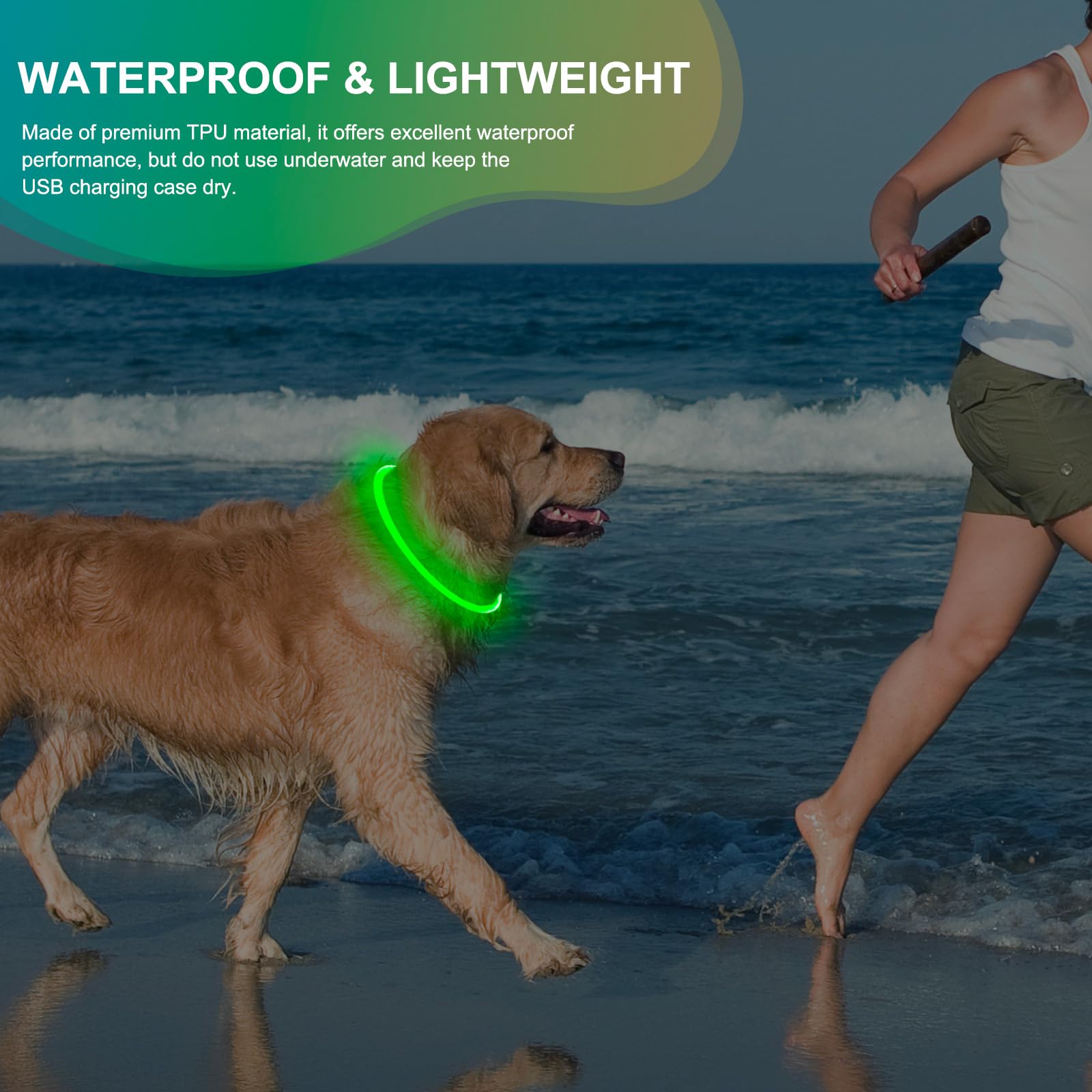 Collar de perro iluminado, collar LED impermeable para mascotas, recargable, luces brillantes de TPU para pasear por la noche (verde)