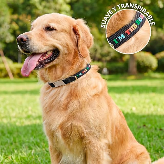 Foto 4 de 7 de Fisura - Collar para Perros Ajustable con Mensaje “I’m The Boss”. Collar de Nylon para Perro Mediano…