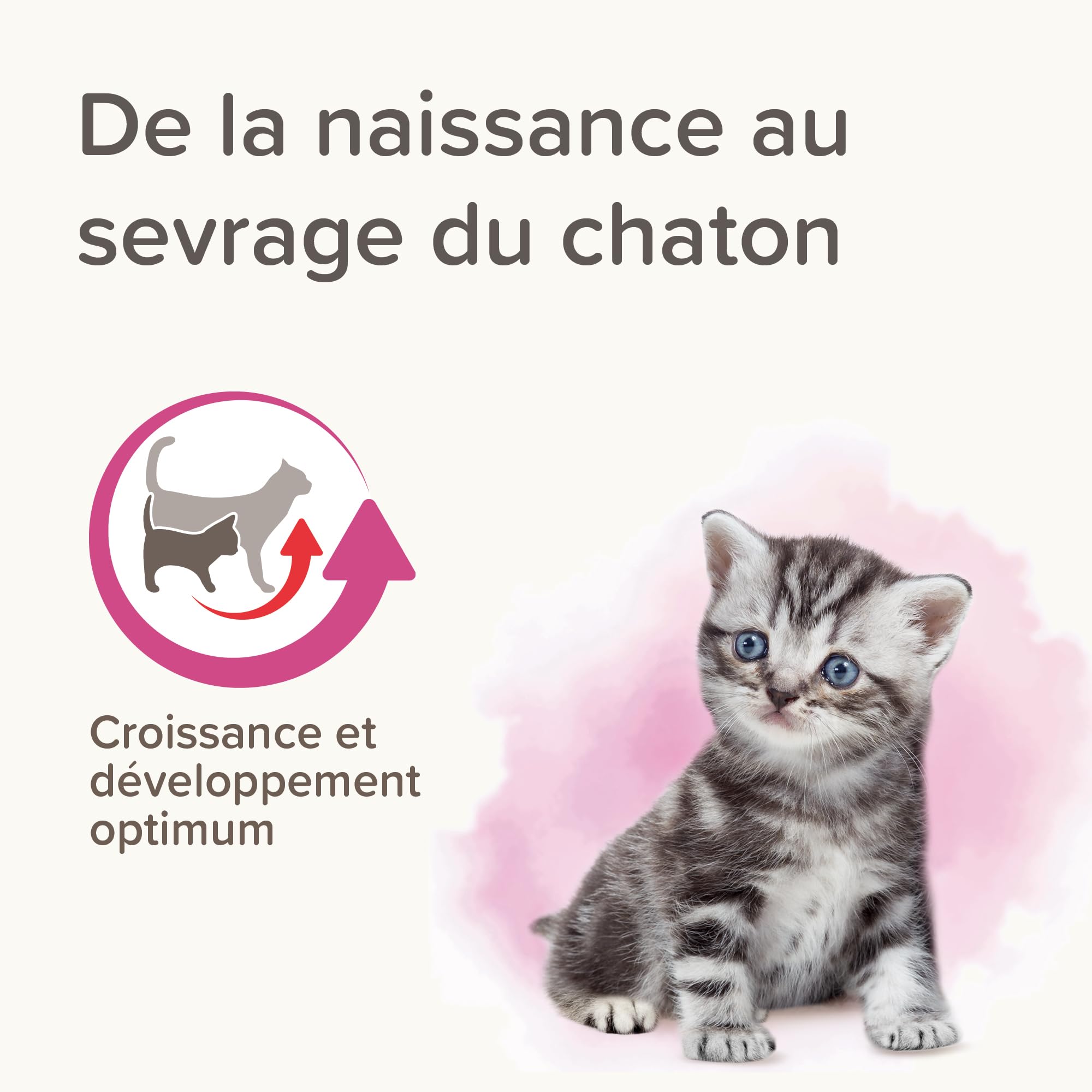 Beaphar Lactol, Latte in Polvere per Gattini, Sostituzione del Latte materno