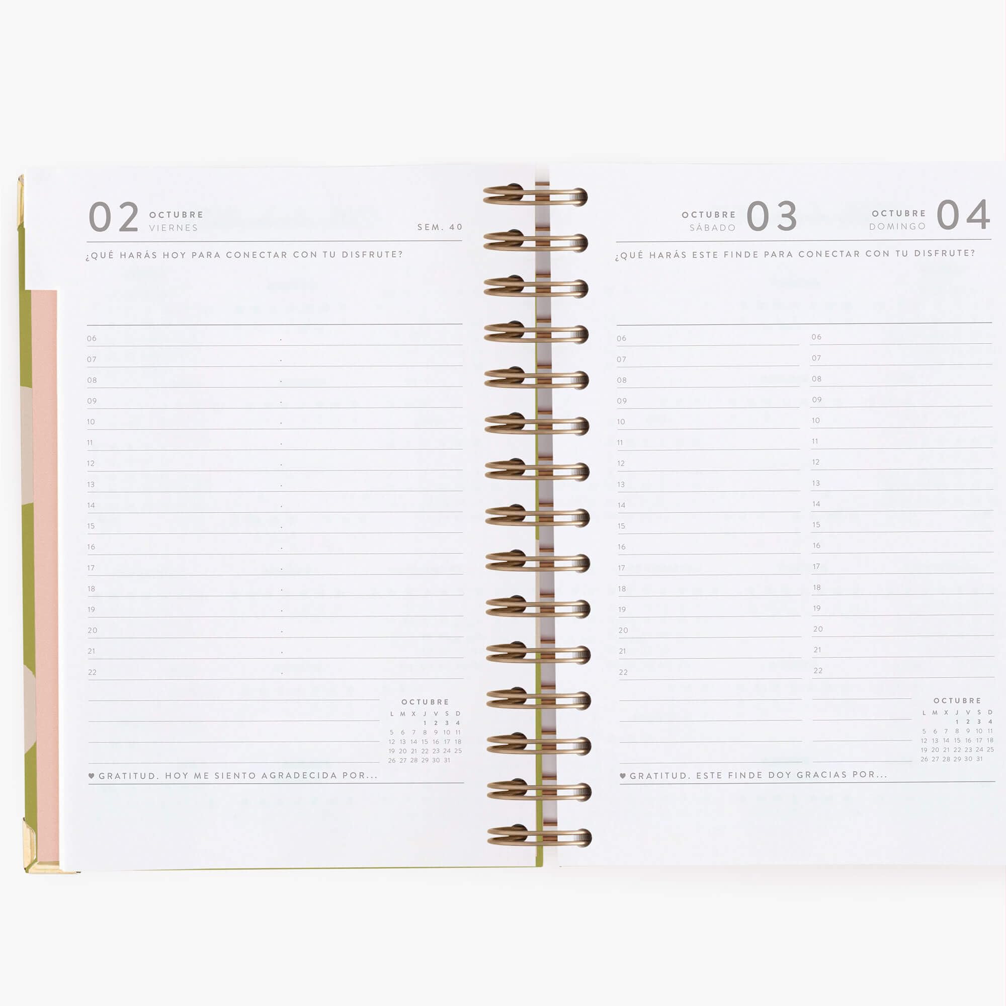 Charuca Kalender 26-27, akademischer Tagesansicht, fester Einband mit goldenen Details, mittelgroß, inklusive Stofftasche und Lesezeichen, hergestellt in Spanien (Pistacho Dreams)