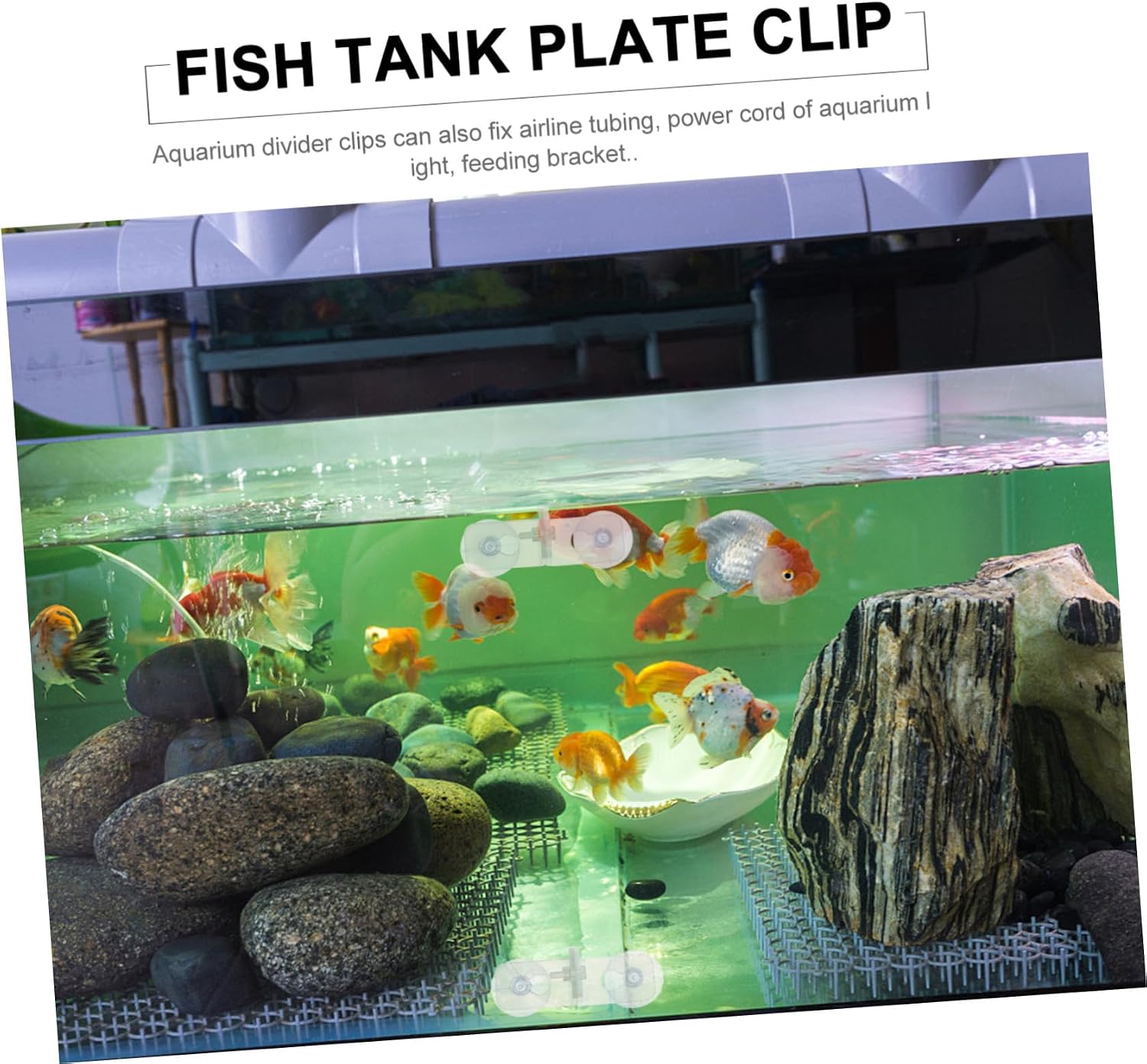 HEMOTON 10pcs Aquarium Fish Tank Isolation Plate Clip with Acrylic Suction Cup Bracket Clamp for Secure Fish Tank Divider Fixing Design