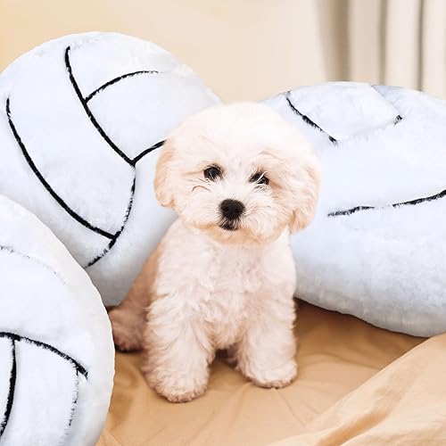 Miniatura 5 de Gerrii 8 almohadas de bola de 13.8 pulgadas, cojines deportivos de felpa mullida, cojín de felpa para regalos de equipo, decoración de dormitorio