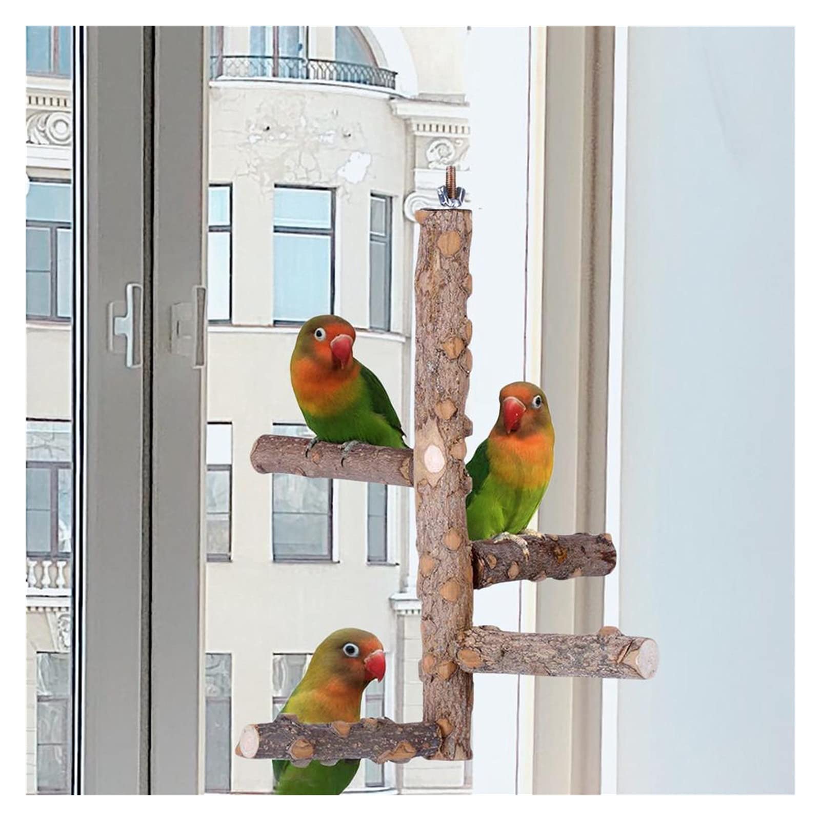 Vogelspielzeug Haustier Papagei Vögel Stehstab Hölzerner Vogel Klettern Leiter Perches Nymphensittich Sittich Klaue Schleifen Spielzeug Bird Cage Zubehör