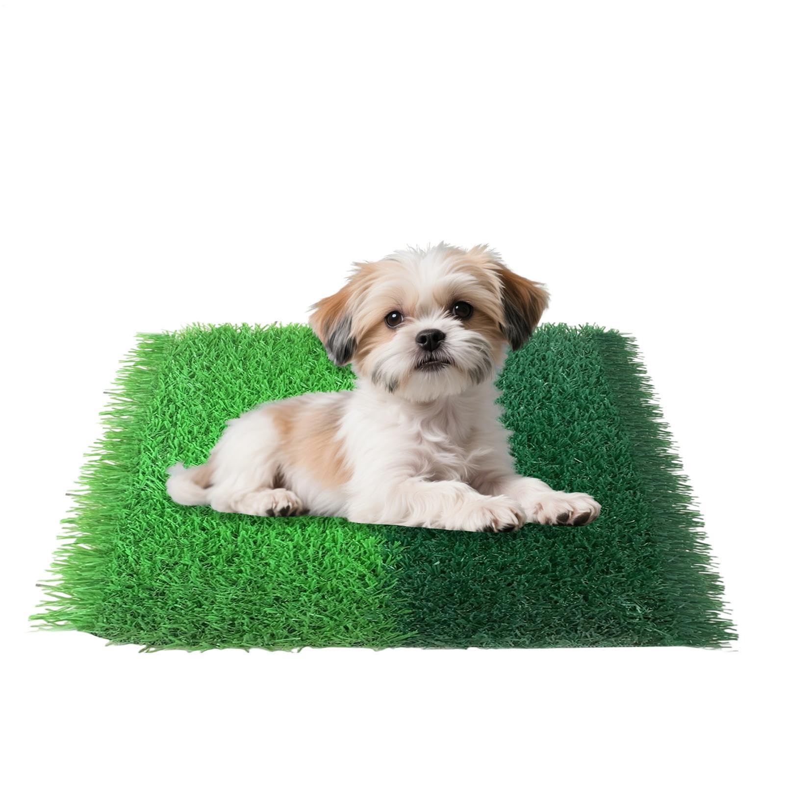 Tapis gazon synthétique pour litière chat et propreté du chien