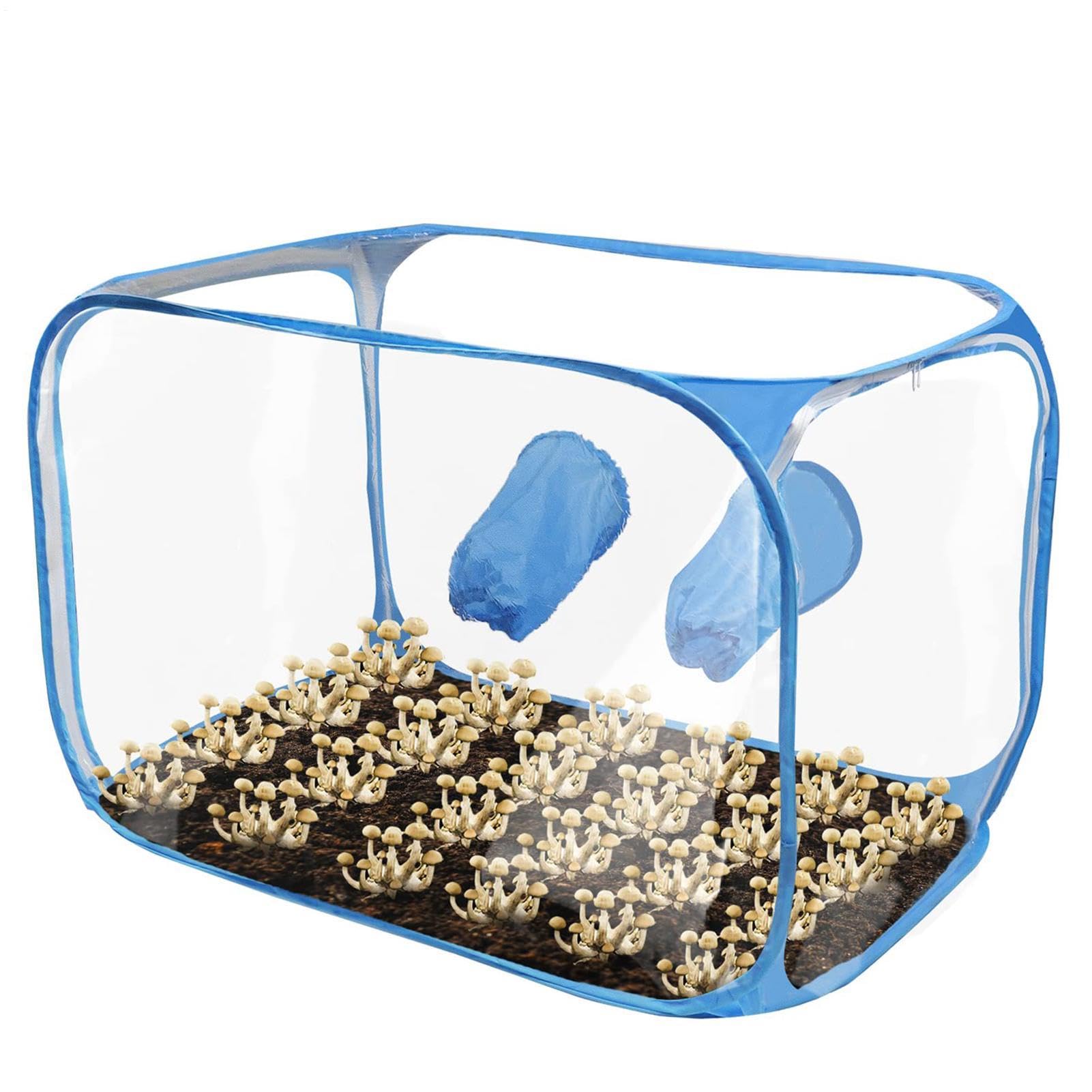 Tente champignon Pop Design pliable et ventilée