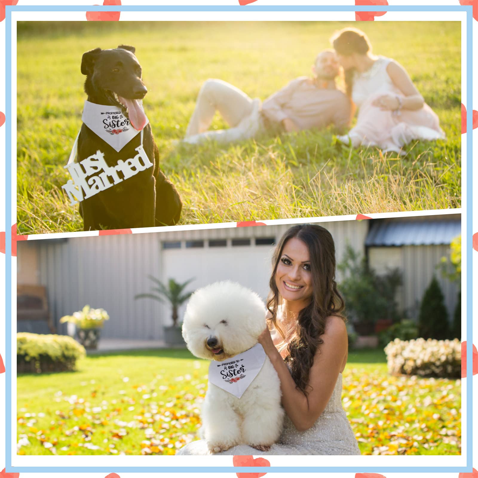 Dog Big Sister Bandana Big Sister Dog Bandana, Dog Bandana, White