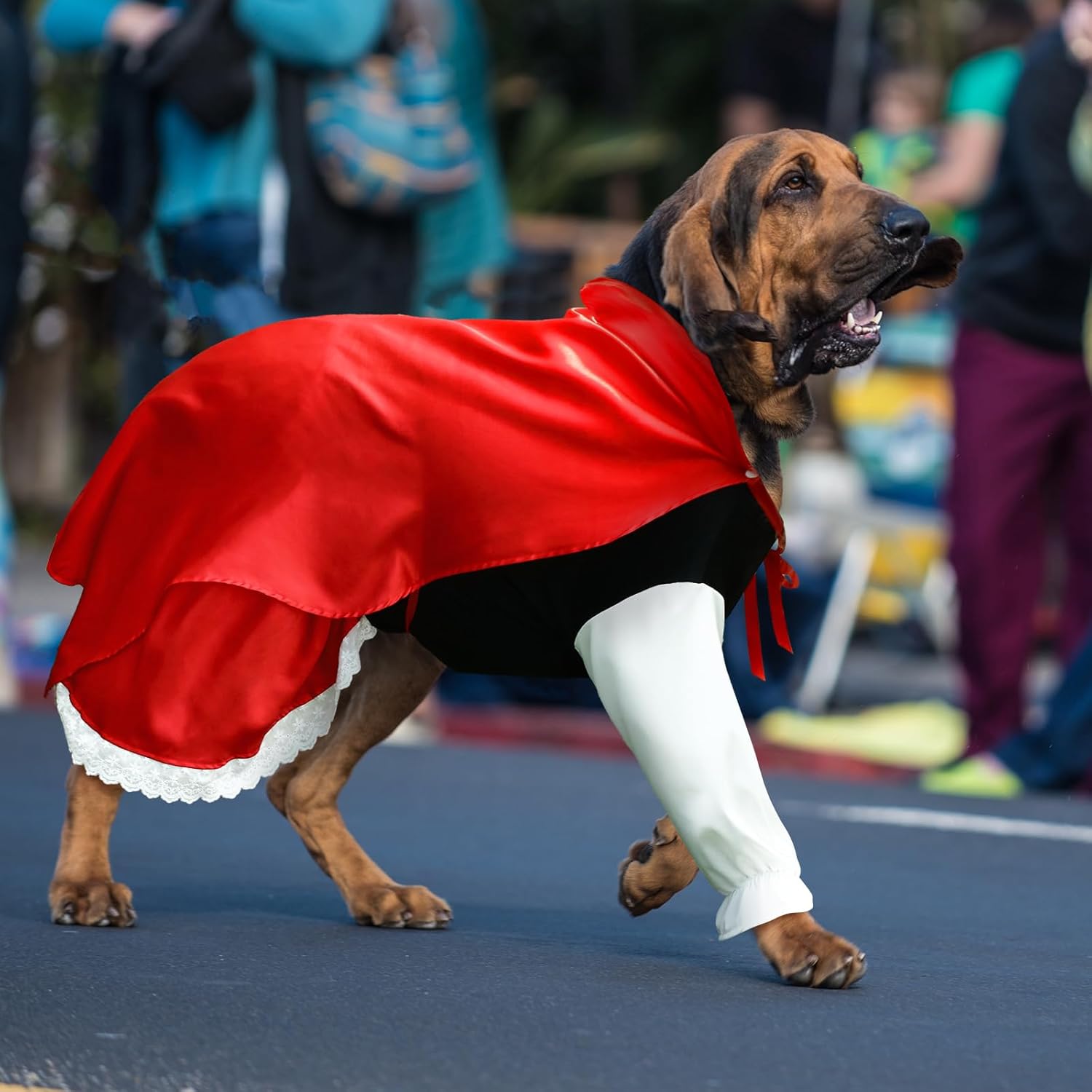 Huhumy Little Red Riding Hood Dog Costume Pet Red Riding Hood Dress and Cape Outfit for Large Dog Halloween Cosplay Costume(L)