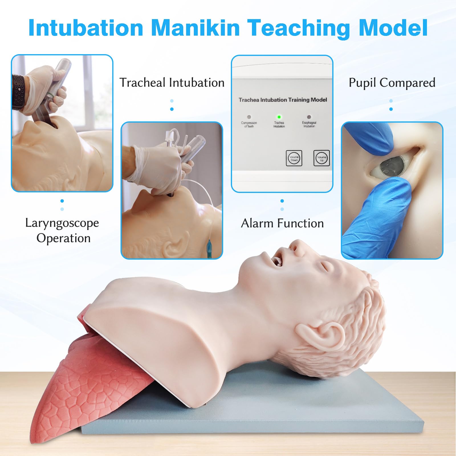 Maniquí de Intubación, Maniquí de Intubación Oral-Nasal para Adultos Modelo Didáctico con Alarma Electrónica, para la Práctica de Estudios de Educación Científica
